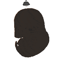 Dog Illustrate Sticker