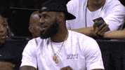 Lebron James Lol GIF by NBA