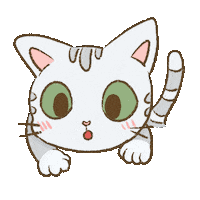 Cat Wow Sticker
