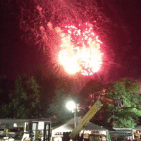 fireworks bonnaroo GIF by emibob
