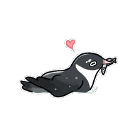 Ancient Murrelet Auk Sticker