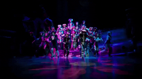 Cats GIF by Musical Vienna