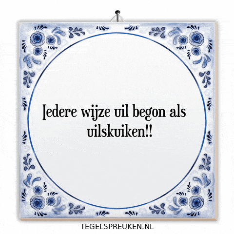 Humor Wijsheid GIF by Tegelspreuken.nl