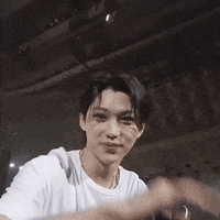 Stray Kids Felix GIF