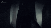 Horror Creepypasta GIF by PBS Digital Studios