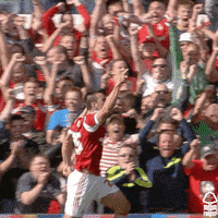Football Celebrate GIF by Nottingham Forest