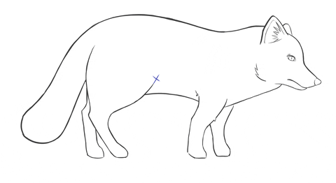 talesofkulplex giphyupload animation gamedev wildlife GIF