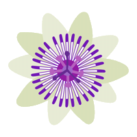 Illustration Flower Sticker