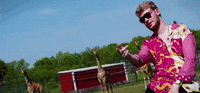 knockout GIF by Yung Gravy