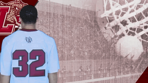 Mens Lacrosse GIF by Lafayette Leopards