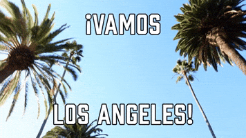 Β‘Vamos Los Angeles