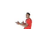 David Sticker by TuS Bersenbrück