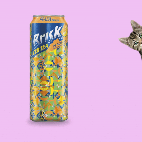 cat hearts GIF by Brisk