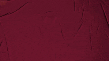 College Baseball GIF by Pearl River Athletics