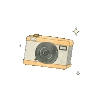 Pixlr photography camera polaroid pixlr Sticker