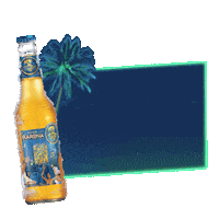 Bad Bunny Honduras Sticker by Cerveza Barena