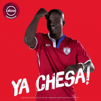 south african soccer GIF
