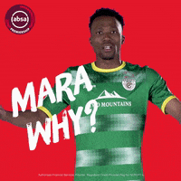 south african soccer GIF