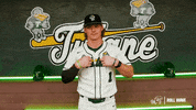 College Baseball Ethan GIF by GreenWave