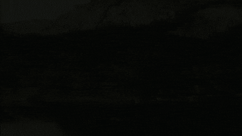 Tauroa giphyupload tauroa altaussee jausenstation GIF