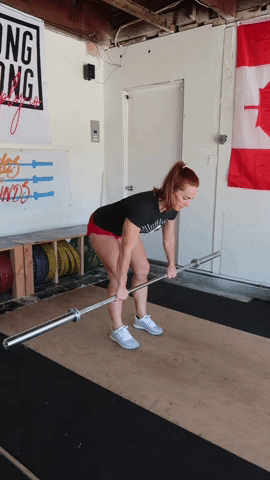 megsquats giphyupload GIF