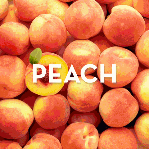 TheGoodCider  GIF