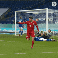 Robert Lewandowski Reaction GIF by FC Bayern Munich
