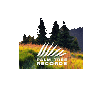palmtreerecs  Sticker
