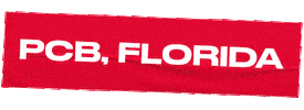Spring Break Florida Sticker by SWAT
