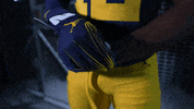 Go Blue Michigan Football GIF by Michigan Athletics