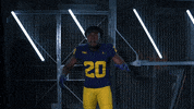 Go Blue Ncaa Football GIF by Michigan Athletics