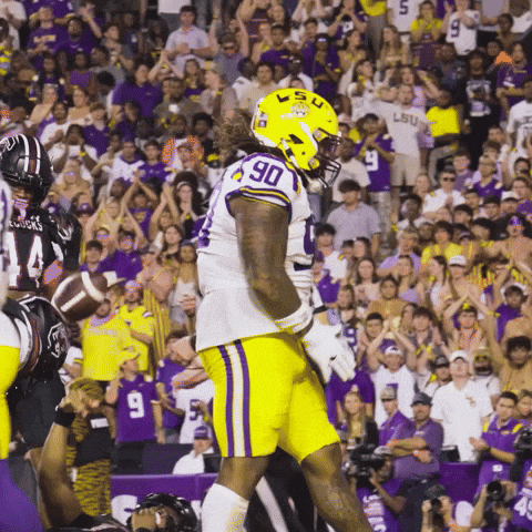 Lsu Football Celebration GIF by LSU Tigers