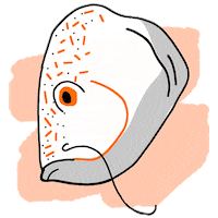 pirezbonappetit fish fishhead pirez Sticker