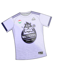 Big Cat Sticker Sticker by Premier Lacrosse League