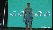 Basketball Wave GIF by GreenWave
