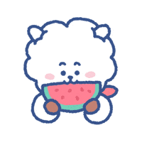 Watermelon Rj GIF by BT21