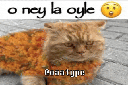 Cat Turkish Food GIF