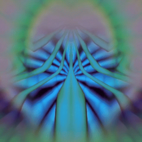 Art Flower GIF by John Fogarty