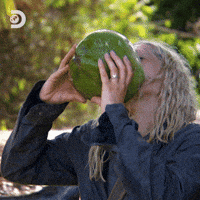 Bear Grylls Survival GIF by Discovery Europe