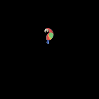 loreandofest lorito GIF