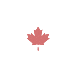 Missionary Youthministry Sticker by NET Canada