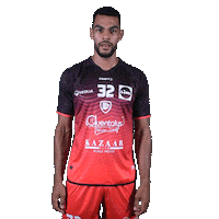 Srvhb Dipanda Sticker by Saint-Raphaël Var Handball