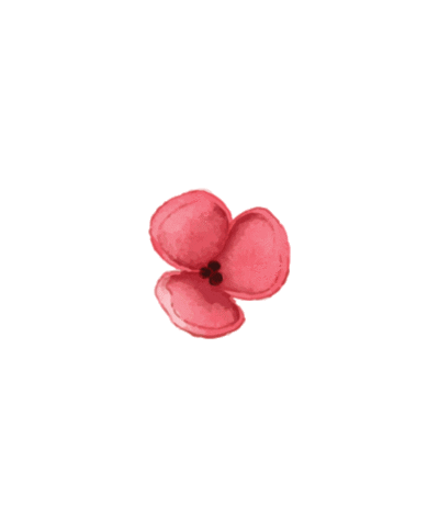 Summer Flowers Sticker by Shop 437