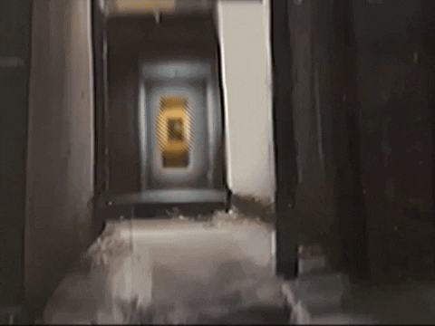 Footage Oaf GIF by jorgemariozuleta