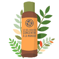 Plant Fruits Sticker by Yves Rocher