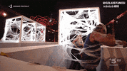 spider lol GIF by Isola dei Famosi
