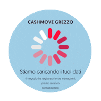 ItalianDistricts cashmove cashmove grezzo Sticker