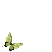 Butterfly Flying Sticker