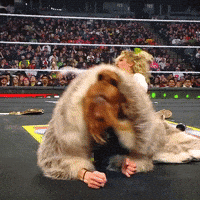 Becky Lynch Help GIF by WWE