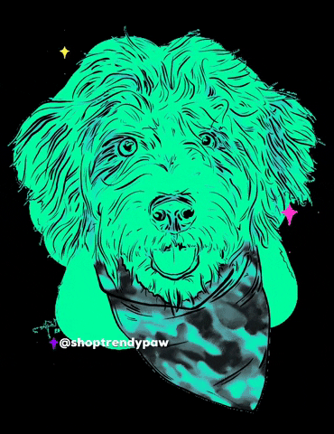 shoptrendypaw dog doodle tucker dood GIF